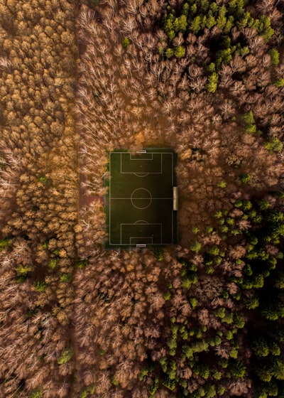 موعدمباراةنصفنهائيدوريأبطالأوروبا2024