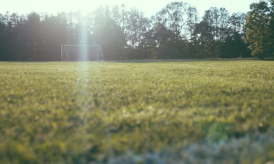 نتائج مباريات ربع نهائي دوري أبطال أوروبا 2024